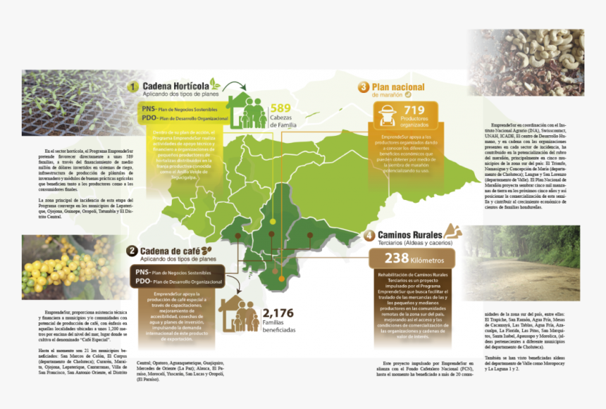 Transparent Mapa De Honduras Png - Tree, Png Download, Free Download