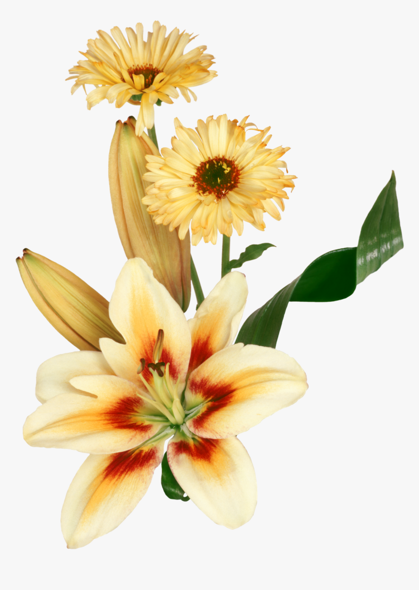 Flores Png Para Photoscape - Fleurs Joyeux Anniversaire Gif, Transparent Png, Free Download