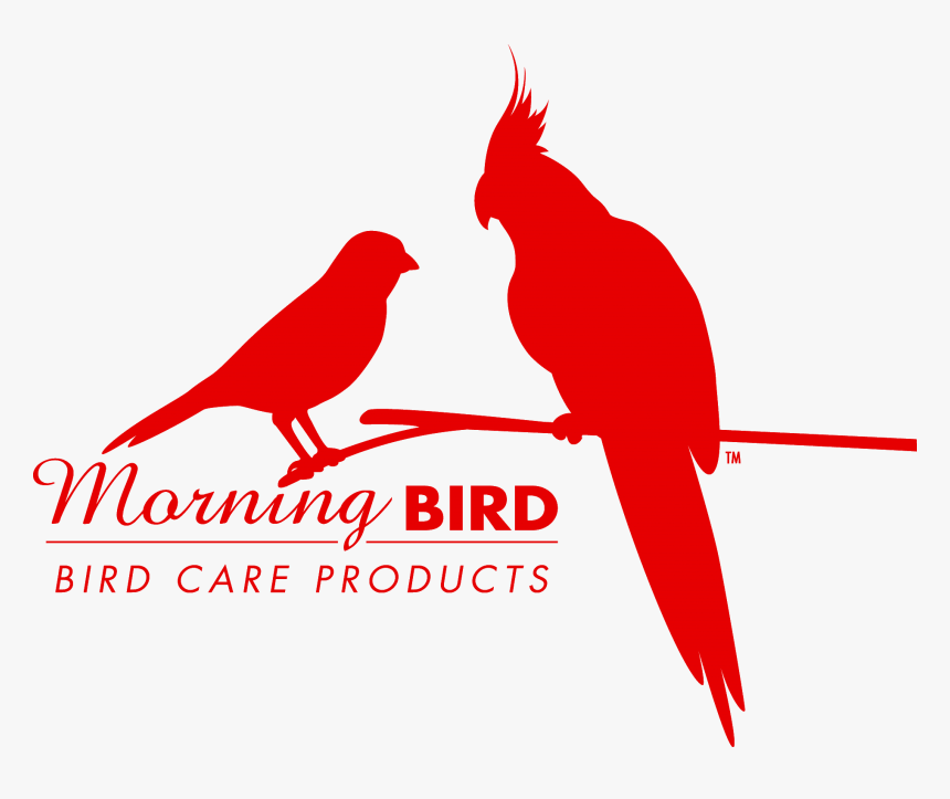 Morning Bird Product, HD Png Download, Free Download