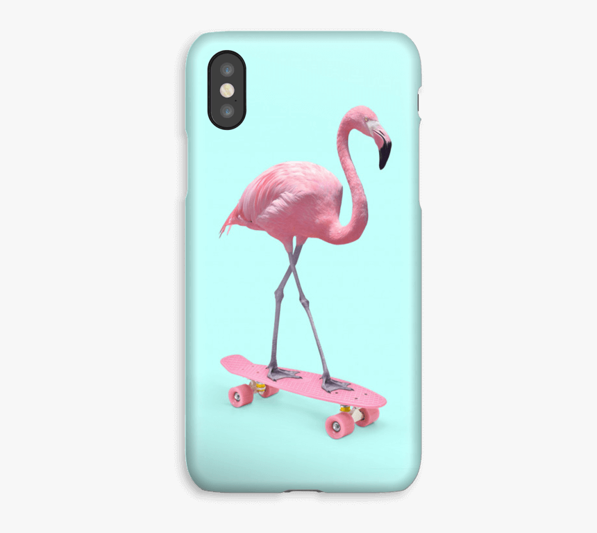 Flamingo On Skateboard Case Iphone Xs - Greater Flamingo, HD Png Download, Free Download