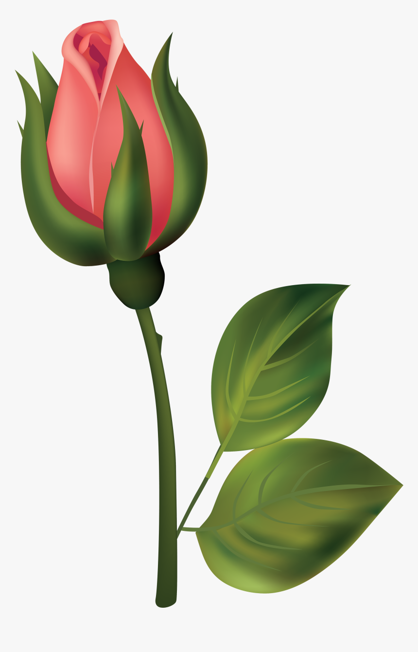 Flower Bud Clipart, HD Png Download, Free Download