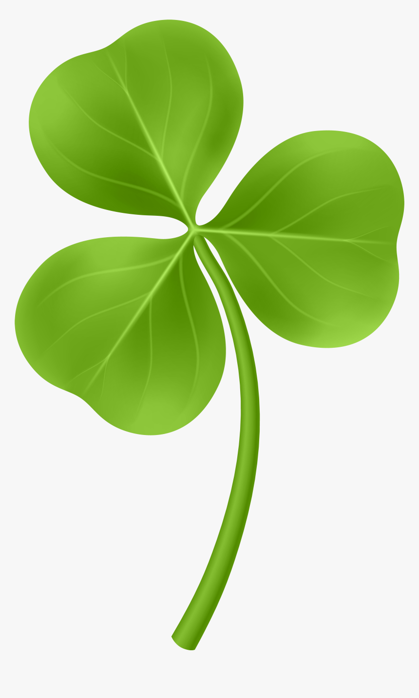 Clip Art Shamrock Png, Transparent Png, Free Download