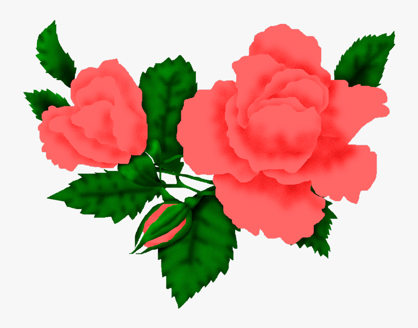 Imágenes De Flores - Garden Roses, HD Png Download, Free Download