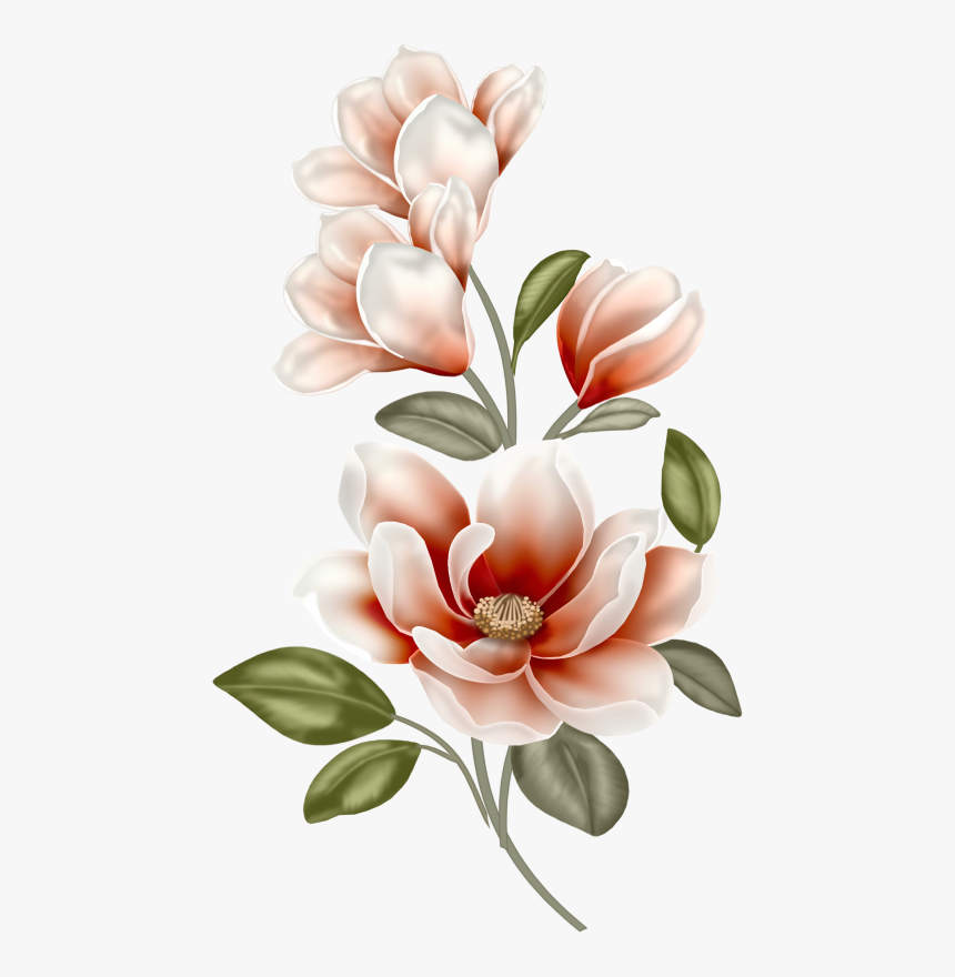 Magnolia Clipart Single - Drawings Of Chinese Flowers, HD Png Download, Free Download