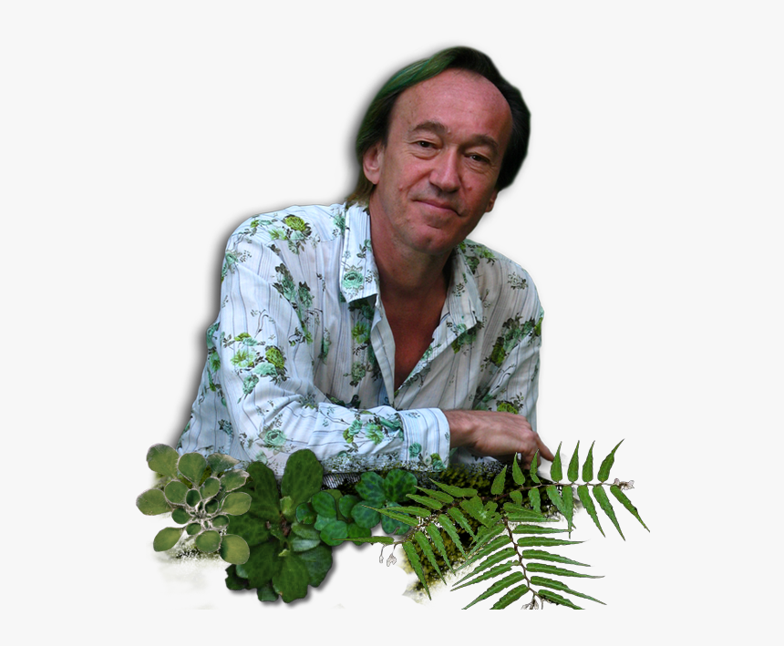 Patrick Blanc - Architecte Mur Vegetal, HD Png Download, Free Download