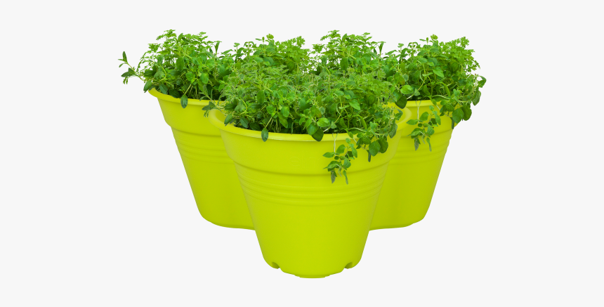 Flowerpot, HD Png Download, Free Download