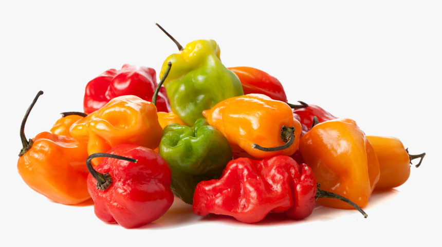 Pepper Transparent Habanero - Transparent Scotch Bonnet Pepper Png, Png Download, Free Download