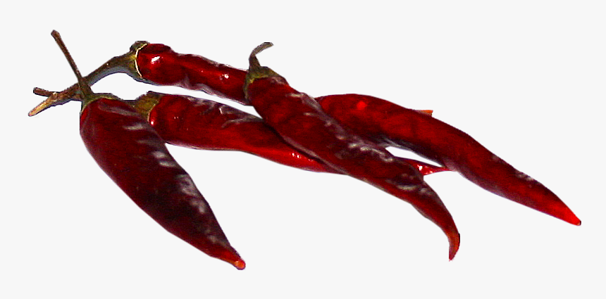 Bird's Eye Chili, HD Png Download, Free Download