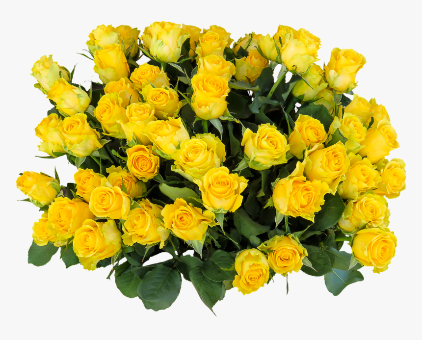 Emotions, Roses, Birthday, Png, Greeting, Bouquet - Yellow Flowers Birthday Wishes, Transparent Png, Free Download