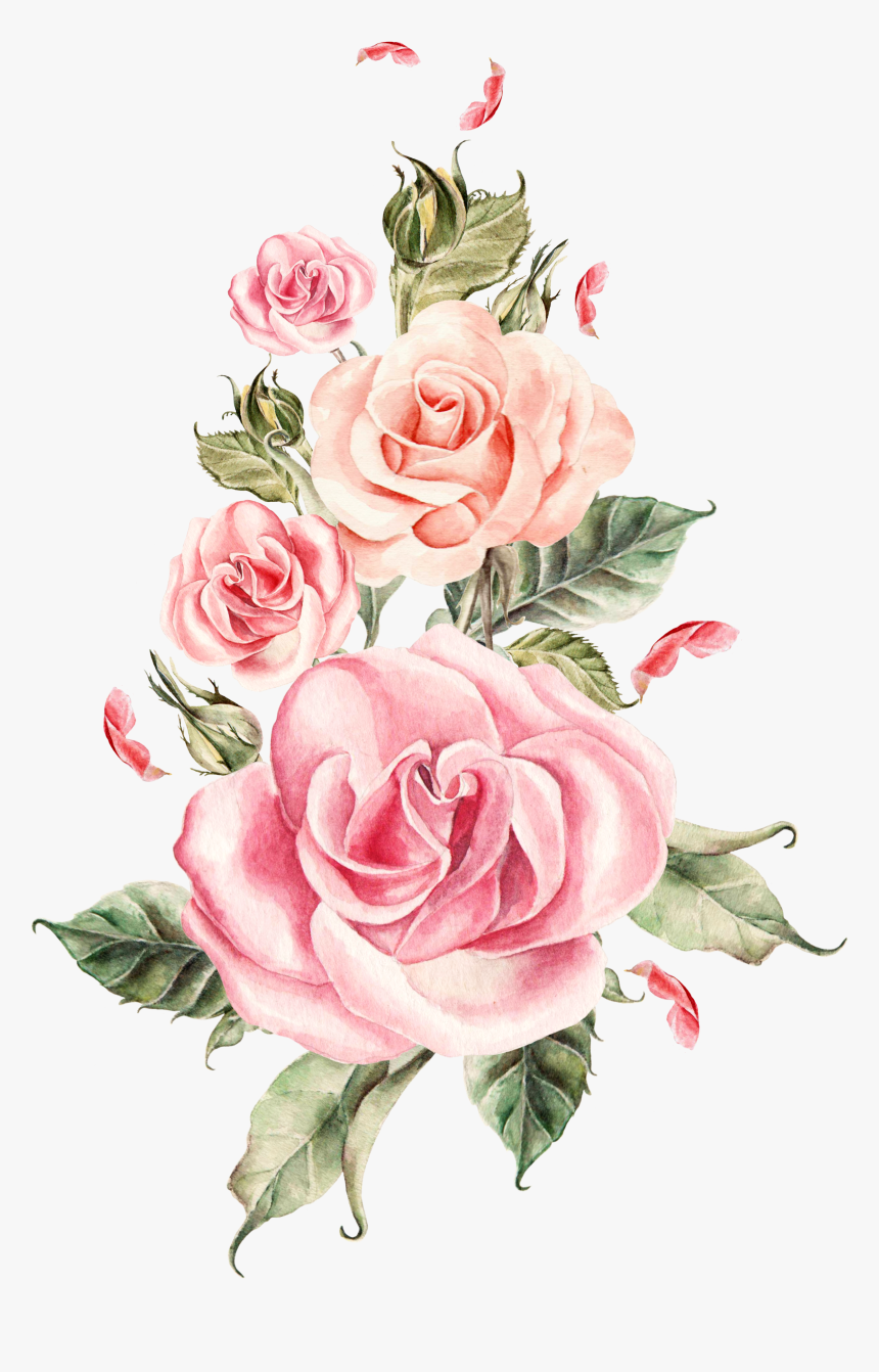 Pink Flower Bouquet Rose Roses Wedding Hand-painted - Pink Rose Transparent Background, HD Png Download, Free Download