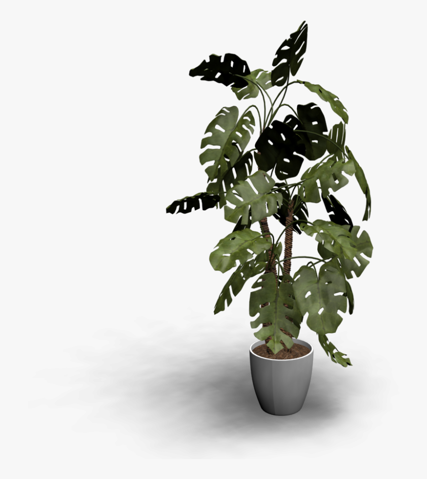 Flowerpot, HD Png Download, Free Download