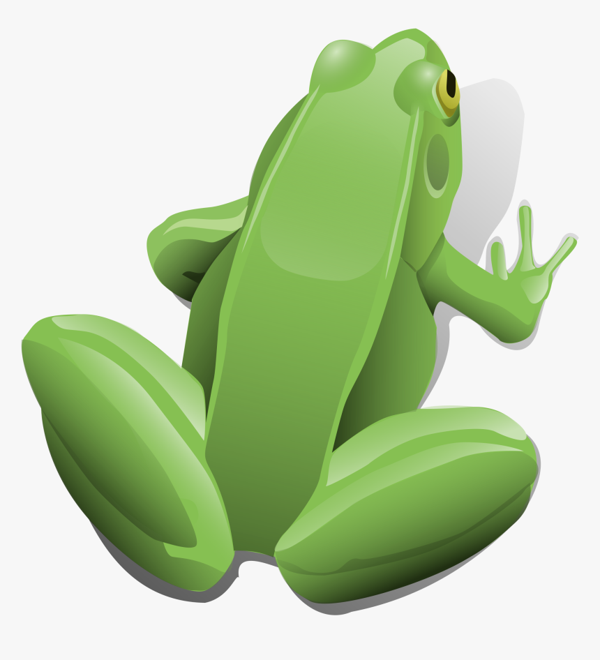 Frog, Amphibian, Aquatic, Sitting, Jumping, Toad, Pond - Frog Clip Art, HD Png Download, Free Download