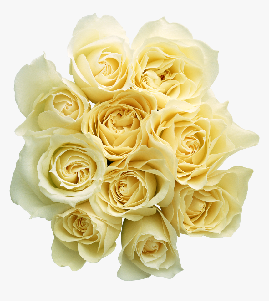 Garden Roses Cut Flowers Bouquet Yellow Rose Family - Bouquet Of Flowers No Background, HD Png Download, Free Download