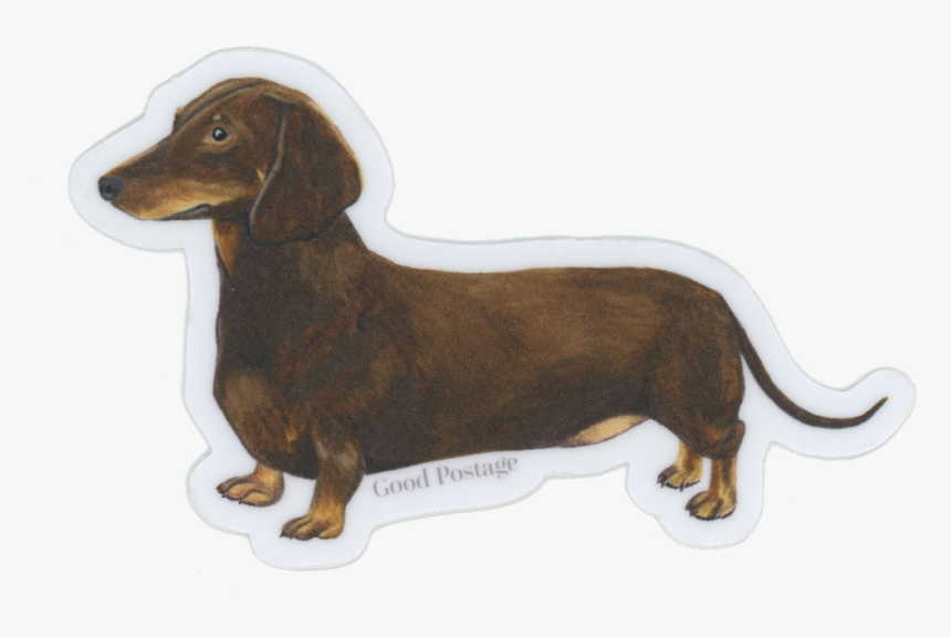 Dachshund, HD Png Download, Free Download