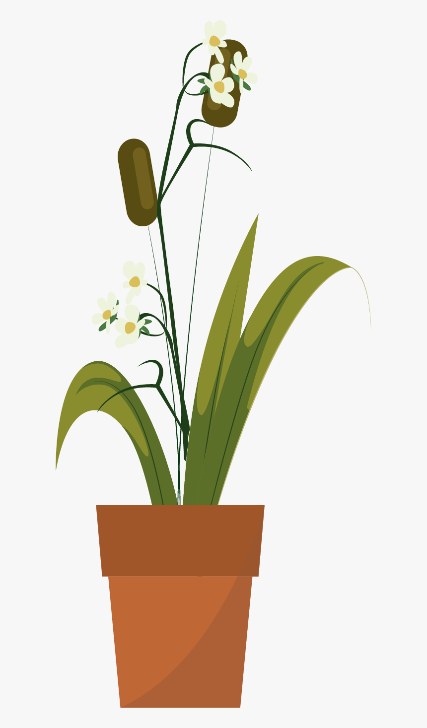 Ceratostylis, HD Png Download, Free Download