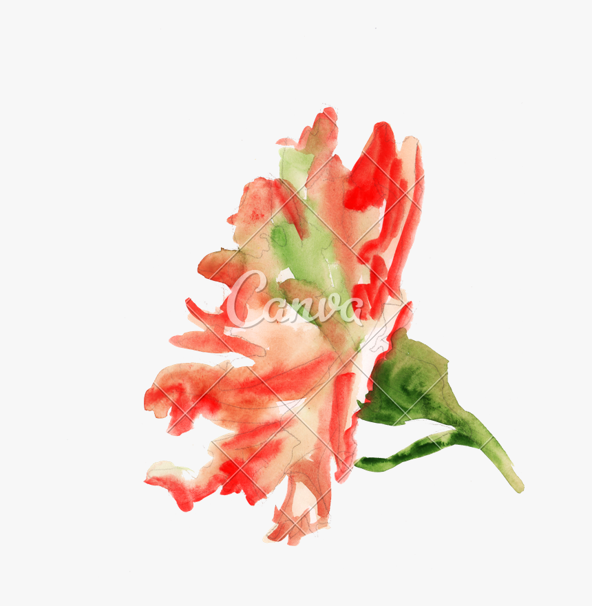 Bud Drawing Carnation - Artificial Flower, HD Png Download, Free Download