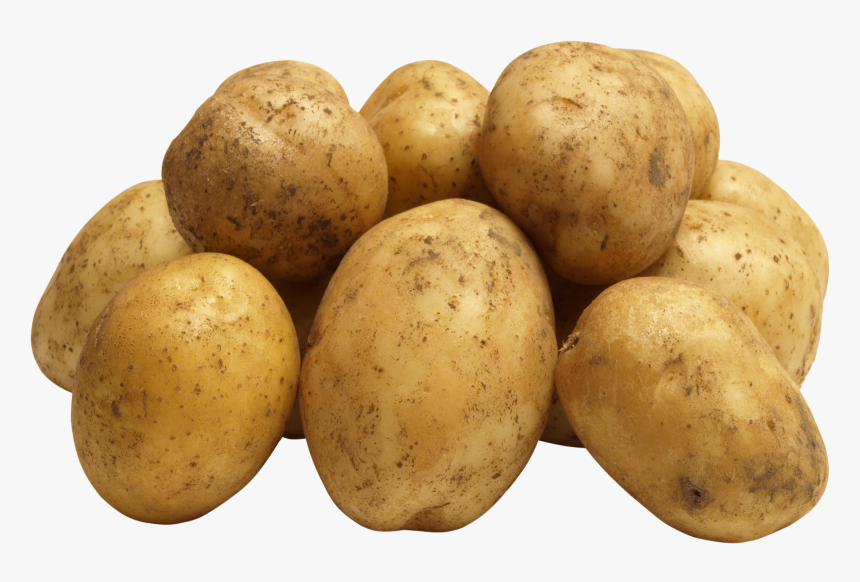 Image Free Picture Images - Potato Png, Transparent Png, Free Download