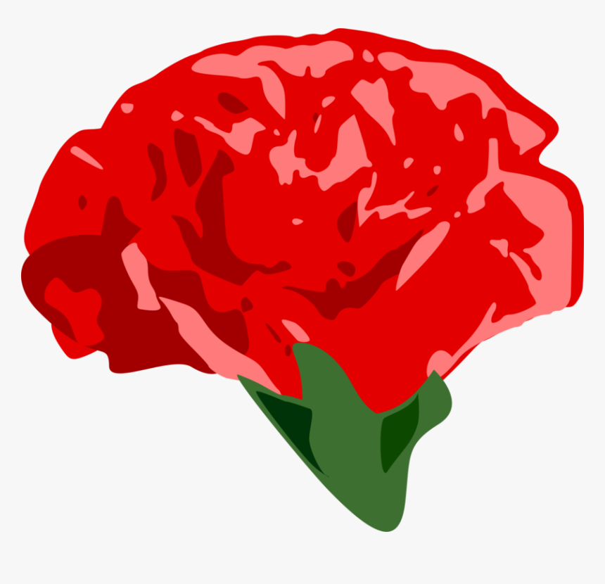 Transparent Carnations Clipart - Rose, HD Png Download, Free Download