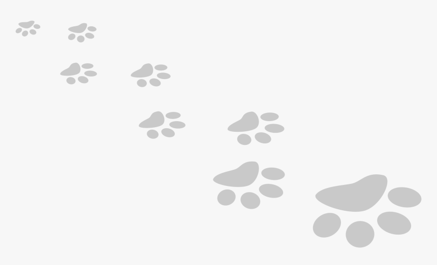 White Paw Prints Png, Transparent Png, Free Download