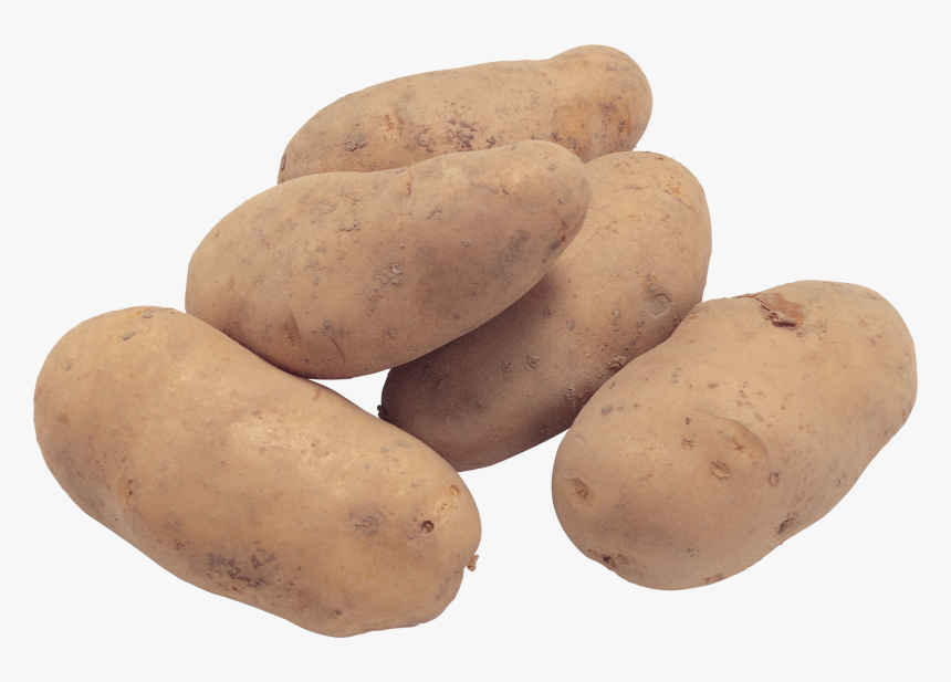 Potato Png Image - Potato Image In Png, Transparent Png, Free Download