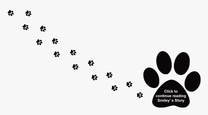 Paw Labrador Retriever Puppy Cat Clip Art - Dog Transparent Paw Prints, HD Png Download, Free Download