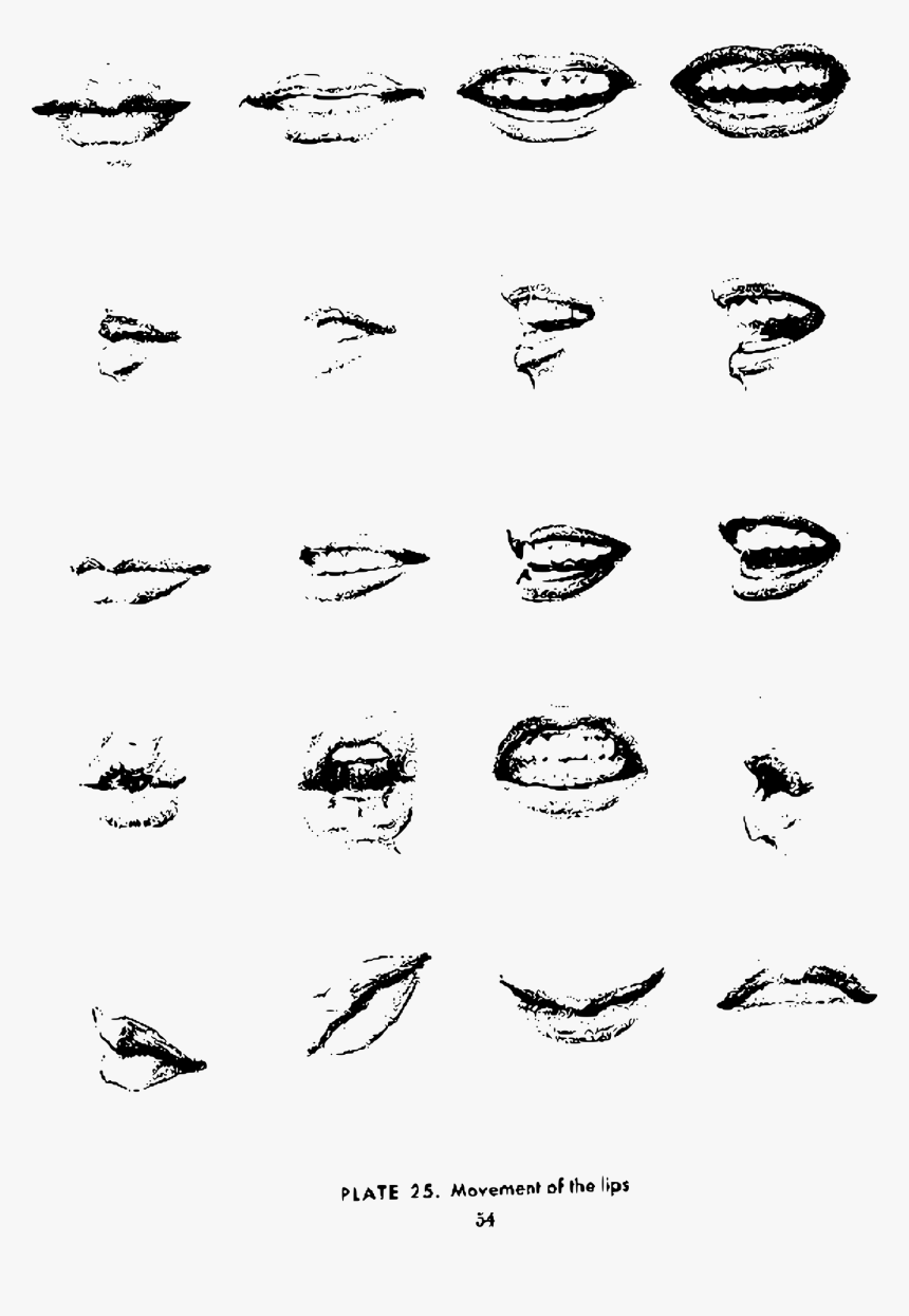 Andrew Loomis Drawing The Head And Hands 49 Clip Arts - Step By Step Tumblr Drawings, HD Png Download, Free Download