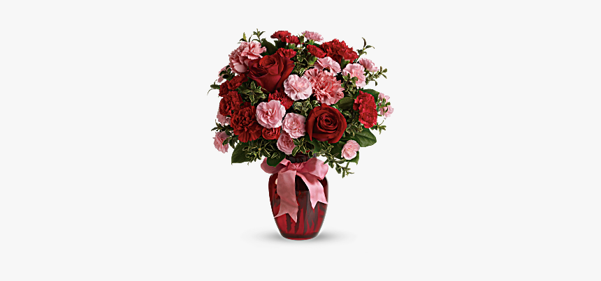 Red Carnation Png, Transparent Png, Free Download