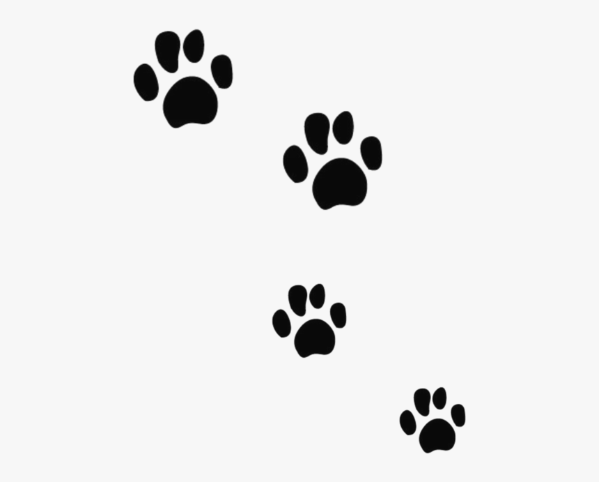 Cat Dog Tiger Bear Felidae - Dog Footprints Transparent Background, HD Png Download, Free Download