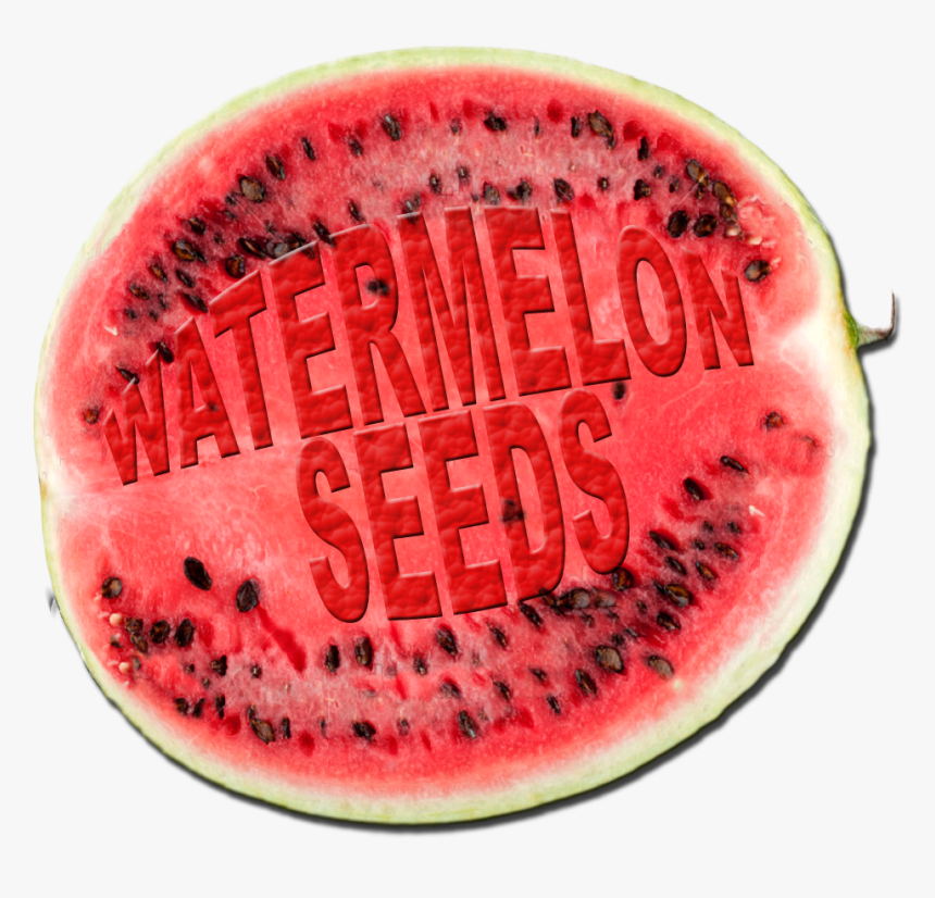 Watermelon Png Hd Photo - Watermelon, Transparent Png, Free Download