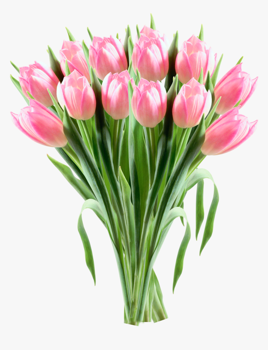 Tulip Flower Clip Art - Tulip Transparent Icon Png, Png Download, Free Download