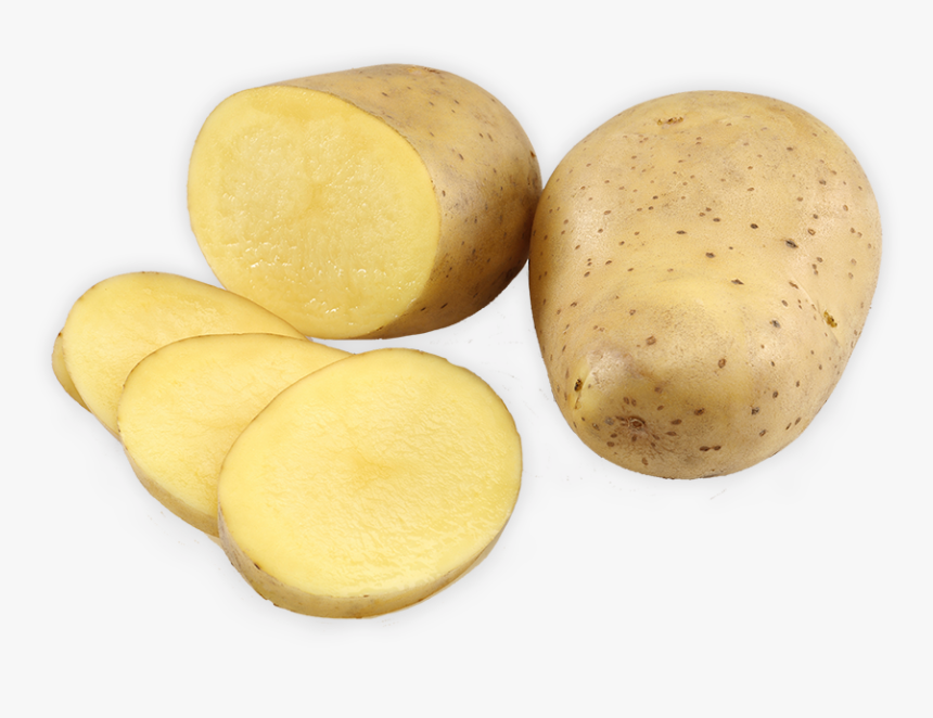 {} - Yukon Gold Potato, HD Png Download, Free Download