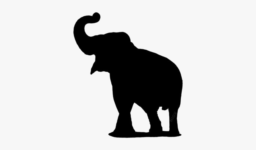 Elephant Png Images, Pics - Elephant Trunk Up Png, Transparent Png, Free Download