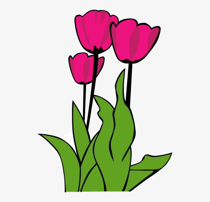 Pink,plant,flower - Tulip Clip Art, HD Png Download, Free Download