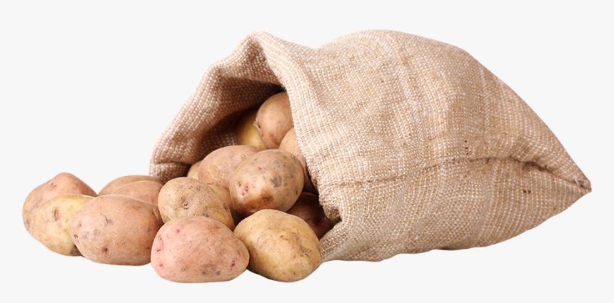 Russet Burbank Potato, HD Png Download, Free Download