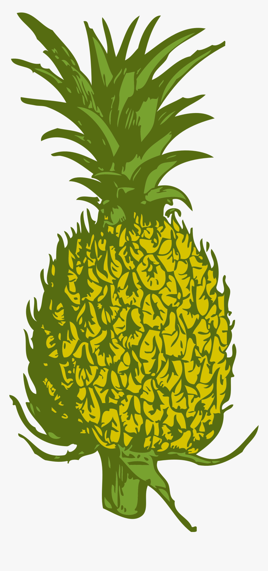 Pineapple Png - Pineapple Tree Clipart Png, Transparent Png, Free Download