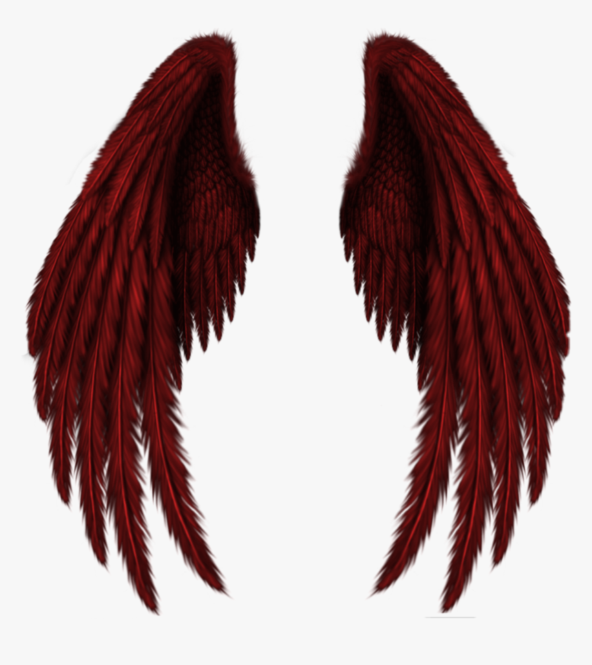 Wings Png - Picsart Wings, Transparent Png, Free Download