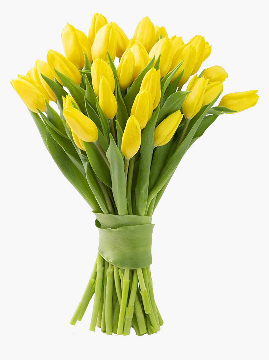 Yellow Tulips Png Photo Background - Yellow Tulips, Transparent Png, Free Download