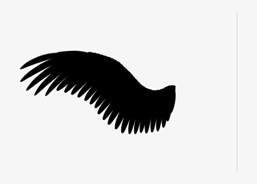 Transparent Wing Clipart, Wing Png Image - Black Angel Wings Png, Png Download, Free Download