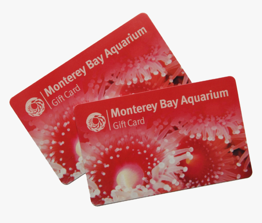 Monterey Bay Aquarium Gift Cards - Paper, HD Png Download, Free Download