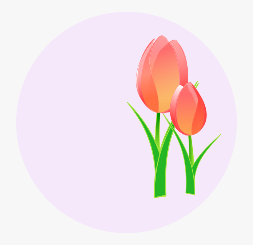 Tulips Svg Clip Arts - Tulips Clip Art, HD Png Download, Free Download