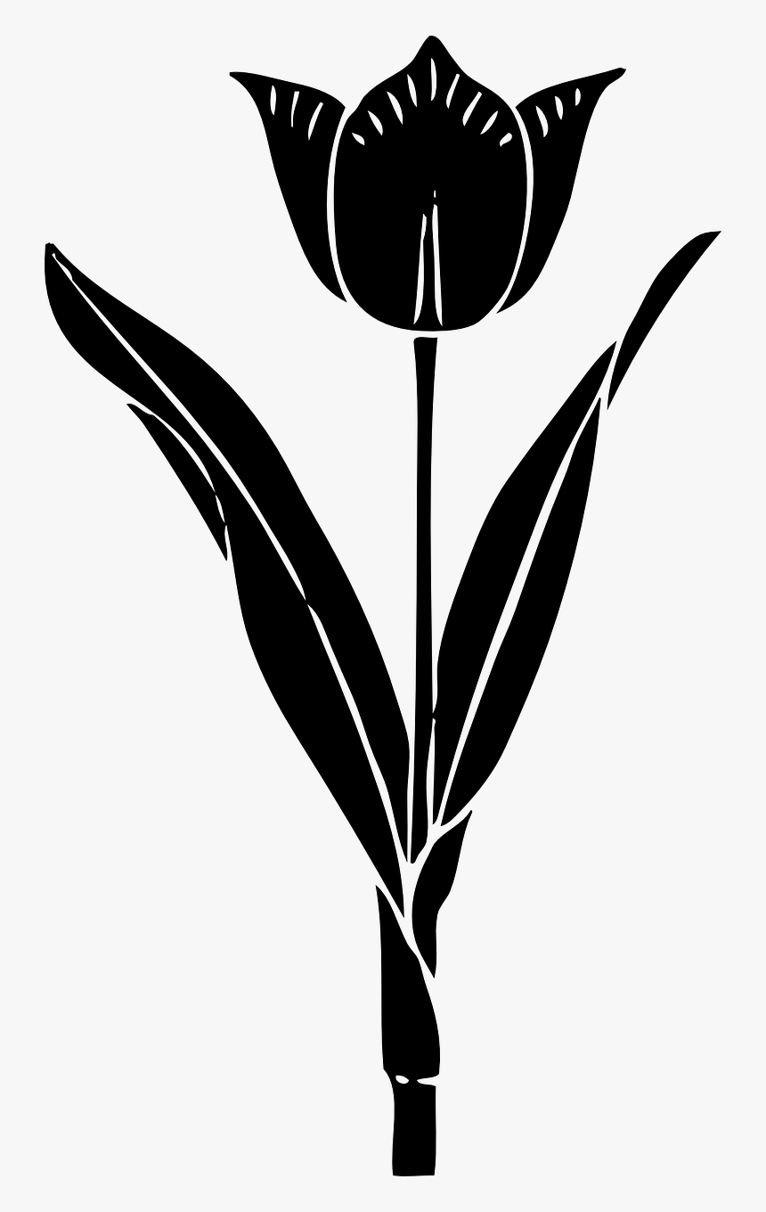 Tulip Silhouette, HD Png Download, Free Download