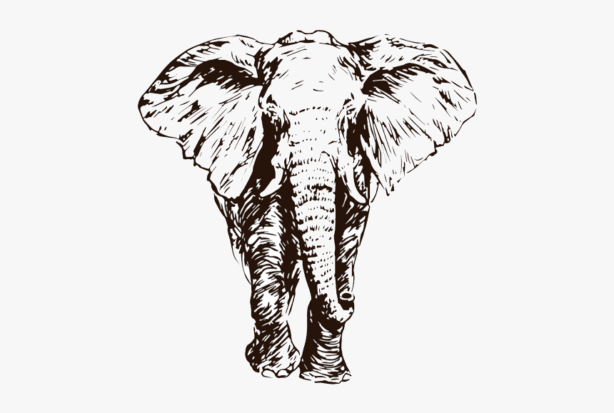 Elephant Png Animal Drawing, Transparent Png, Free Download