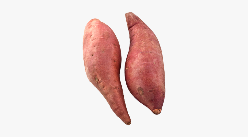 Sweet Potato, HD Png Download, Free Download