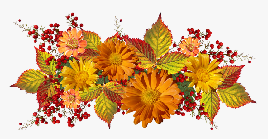 Flowers, Arrangement, Autumn Daisies, Leaves, Garden - Flores De Otoño Png,  Transparent Png - kindpng