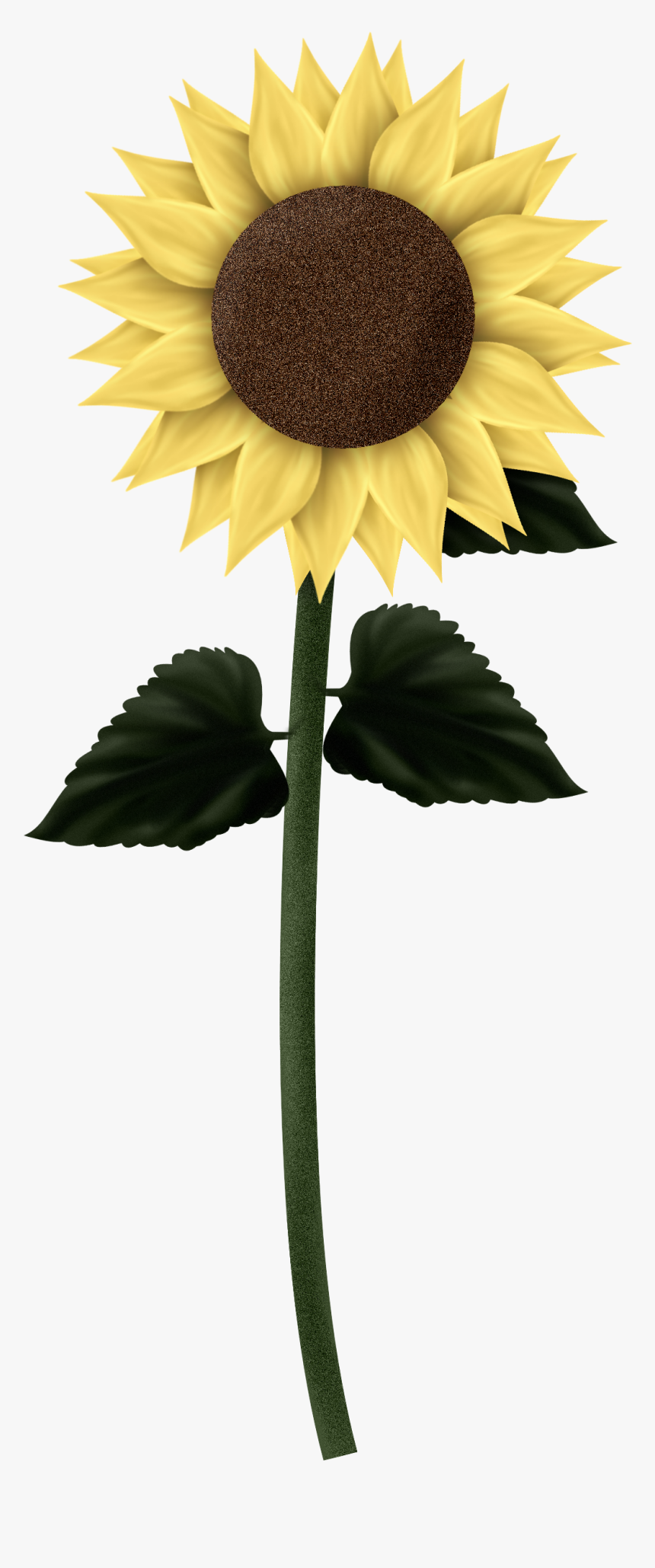 Clipart Sunflowers, HD Png Download, Free Download