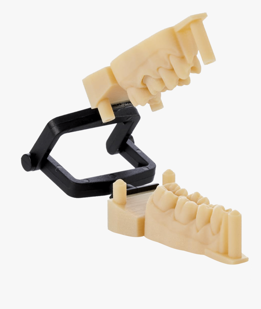 Crown And Bridge Quadrant Dental 3d Printing Stratasys - Wood, HD Png Download, Free Download