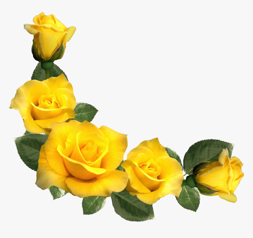 Clipart Flower Aesthetic - Yellow Rose Flower Border, HD Png Download, Free Download