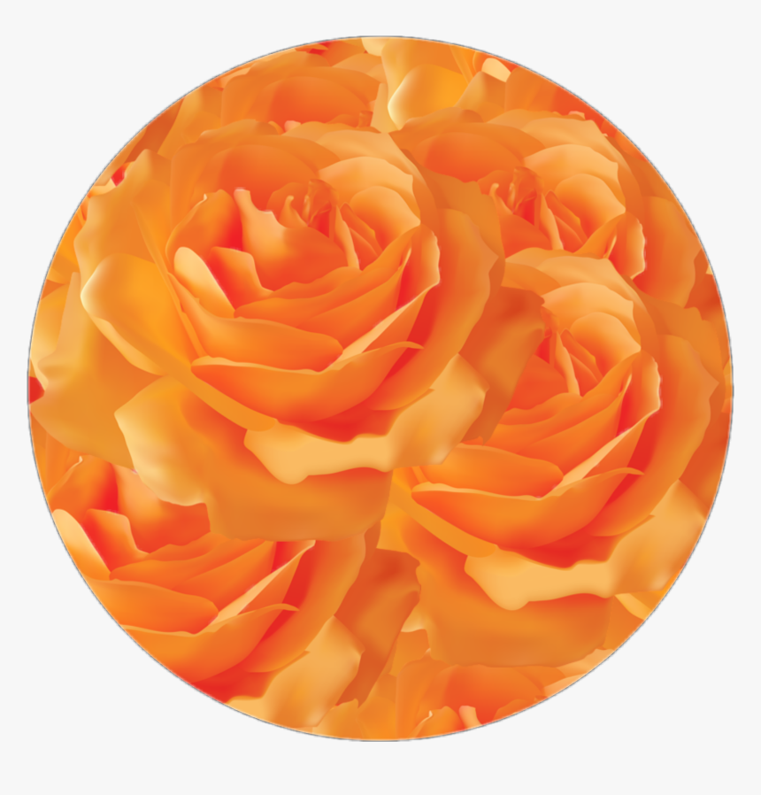 Orange Rose Circle Aesthetic Flowers Png Aesthetic - Roses Purple Background Transparent, Png Download, Free Download