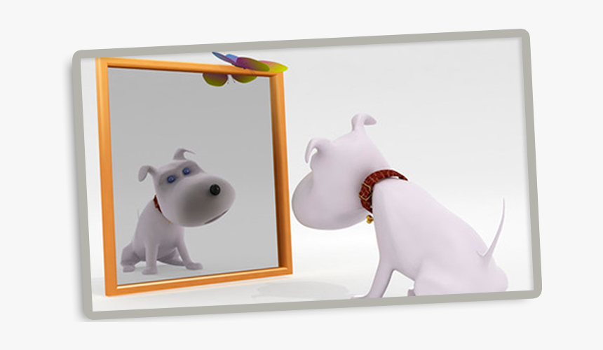 Perro En El Espejo, HD Png Download, Free Download