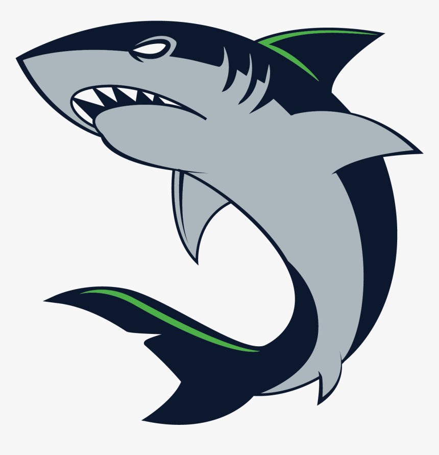 Download Transparent Shark Clipart Outline - Shark Vector, HD Png ...